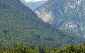 Dachsteinblick